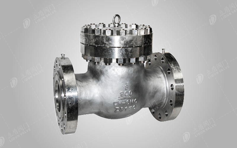 Titanium check valve