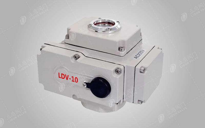 电动执行器（精小型）LDV-10